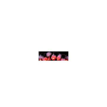 Sell 20L Red Heart With Feather