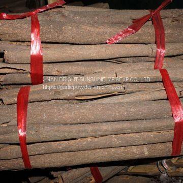 Cassia Stick Cinnamon Stick