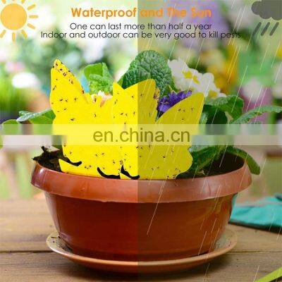 Pest Control Outdoor Fly Glue Trap Killer Yellow Butterfly Shape Fly Killer Traps