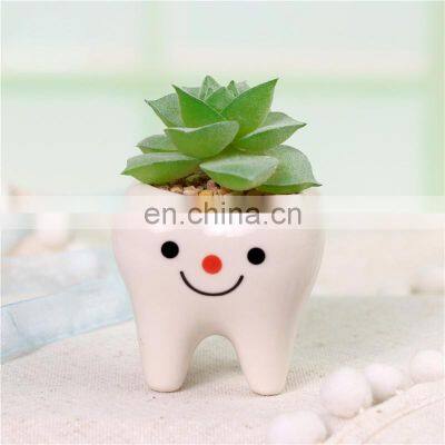 Fashion Garden Decor Succulent Planter Home And 2021 Guangdong Flower Pots Planters Potted Faux Plants Cute Tooth Shape Pot