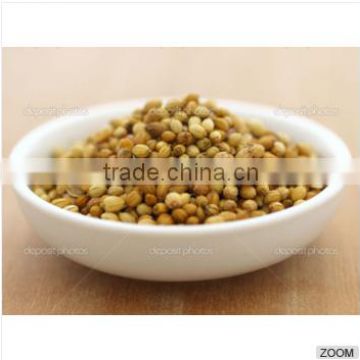 Coriander Seeds