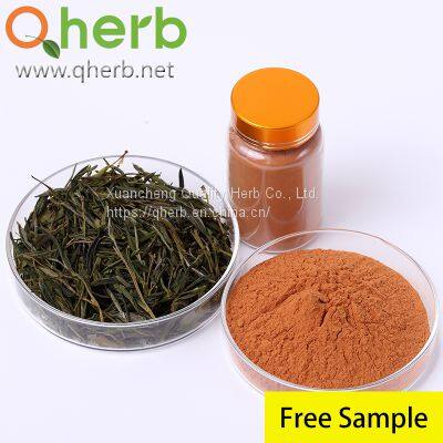 Green Tea Extract Powder