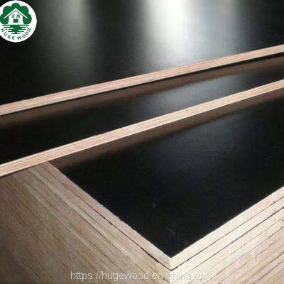 13mm Finger Joint Core Black Film Faced Plywood for Thailand Market