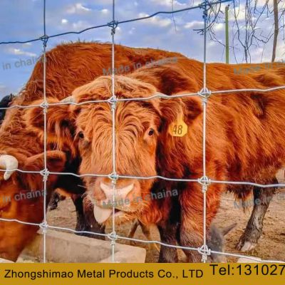 Grassland Fence/field fence/ cattle fence/annimal fence/sheep fence/ wire mesh fence