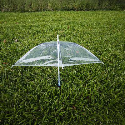 Light up LED Umbrellas