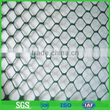 Plaster hexagonal wire mesh with high quality and best price