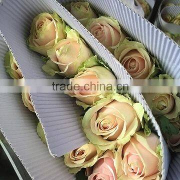 New Pink Avalache Flower Pink/red Artificial Roses photo-2