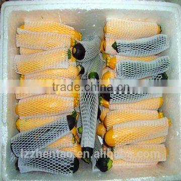 EPE foam plastic net for fruit