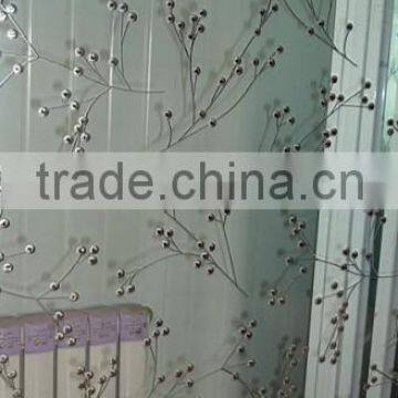 Titanium glass for sliding door