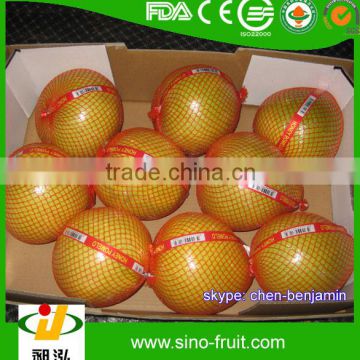 Fresh sweet Honey pomelo from China/ pomelo supplier