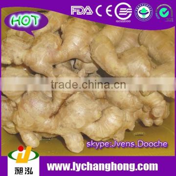 2015 New Crop 30Lbs/pvc ctn Air Dried Ginger From China