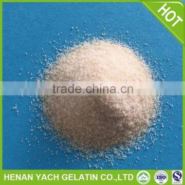 Hot selling 150-280bloom medical gelatin made in China