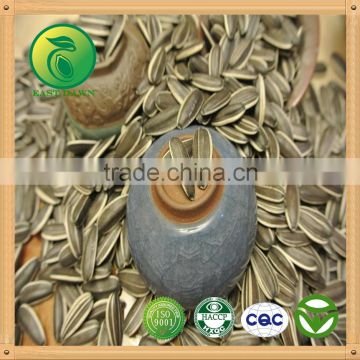 Sunflower Seeds for Oil 5009 3939 health product china