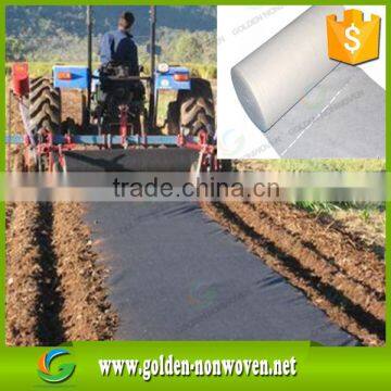 Non Woven Fruit Tree Covers/OEM Custmized PP Nonwoven Fabric/tnt Non-woven Banana/Grape Factory in China photo-2