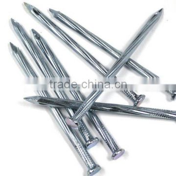 electro galvanized polished round common wire nails(factory)