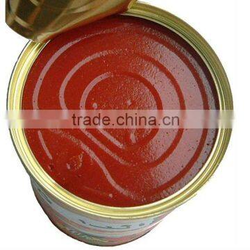 newest 70g canned Tomato paste