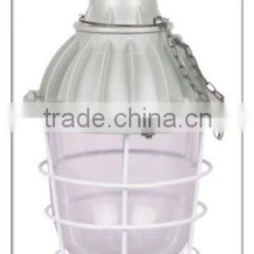 BAD51 professional Explosion proof energy saving lamp