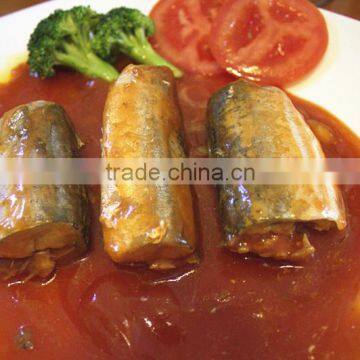 Canned Sardine fish in chili(125g/155g/425g)