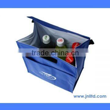 Heavy Duty Nylon Foldable Cooler Bag