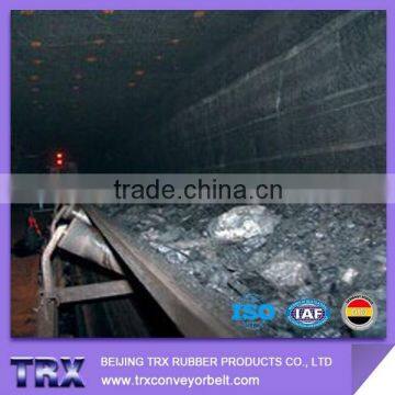 Durable Chemical Resistant Conveyor Belt