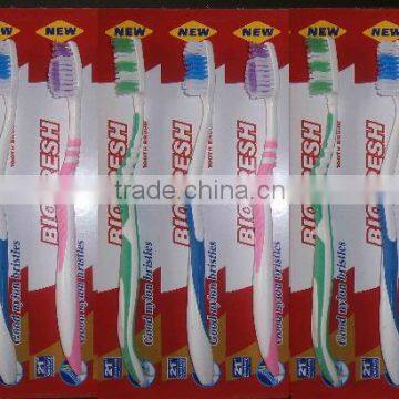 mixture hanging adult toothbrush