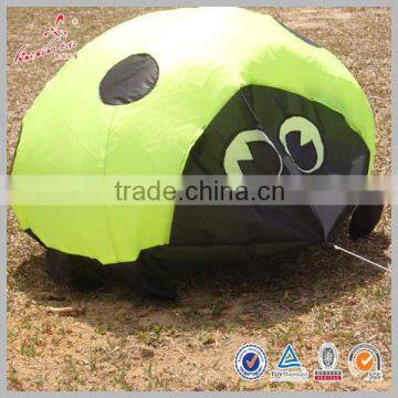 Ladybird single line soft kite