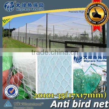 (20 years factory) hot selling ,2013 New arrival, long life white anti-bird netting on grapes , 35 GSM / 20101-35