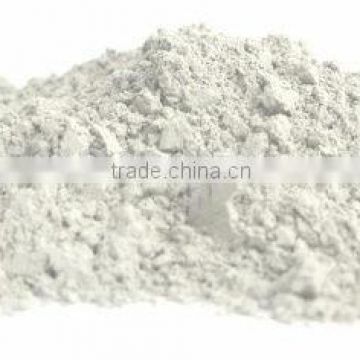 AGAVE INULIN POWDER