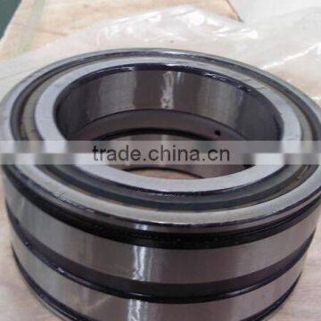 SL045036PP Double-Row Full Complement Cylindrical Roller Bearing SL045036 PP ,SL 04 5036 PPNR