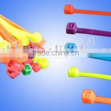 Auto Parts Nylon Cable Ties