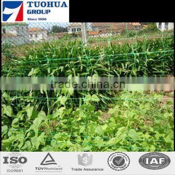 Best price,High quality Plant Support Net for Vegetable,Garden Climb