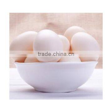 Best Quality Farm Fresh Shell Chicken Eggs