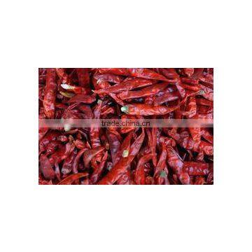 Red Chilli Available... photo-2
