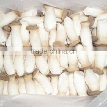 Fresh Pleurotus Eryngii Mushroom