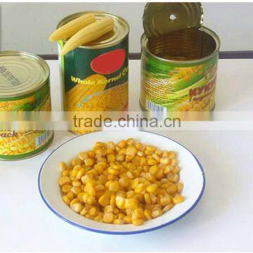 Canne sweet kernel corn with cheap price