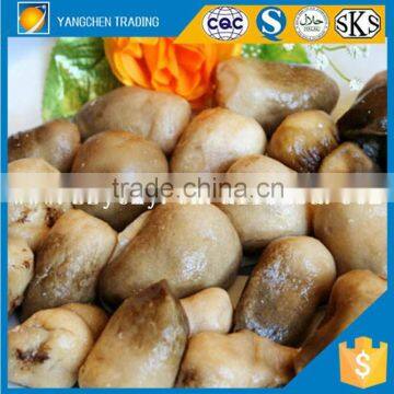 Discount price of canned straw mushroom whole