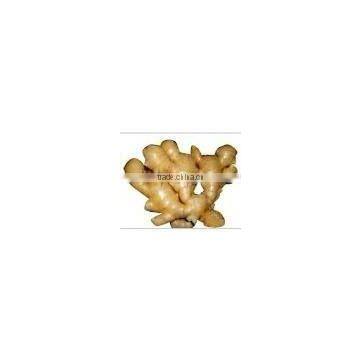 Organic dry ginger extract