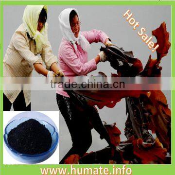 seaweed based fertilizer with factory competitive price