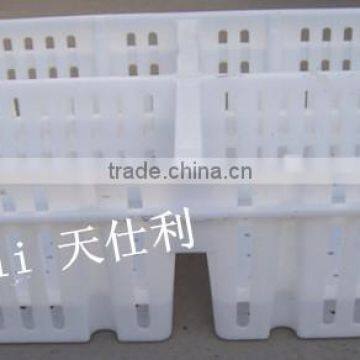 New design young bird transport box with greet price