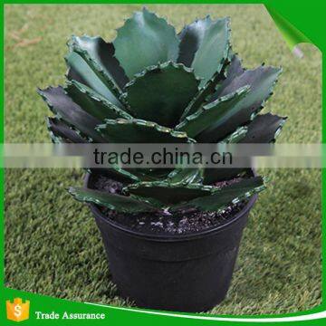 Potted Artificial Mini Succulent Plant for Decoration photo-3