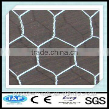 Professional technique gabion wire mesh/Hexagonal wire netting