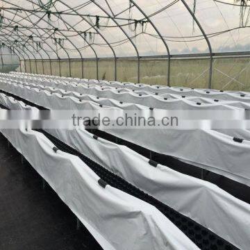 Commercial Greenhouse for Sale used commercial greenhouses