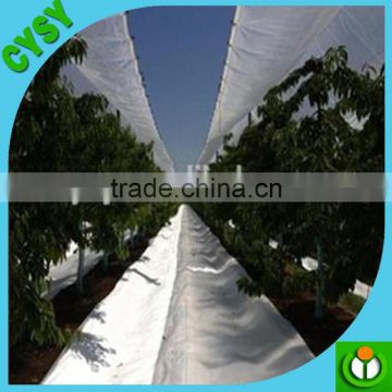 high quality woven fabric tarpaulin /HDPE transparent tarpaulin fruit cover film with competitive price