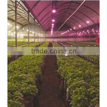 VANQ Led Flower Lights With DR FR White,COB Grow Led Flowering Lamp 18w photo-2
