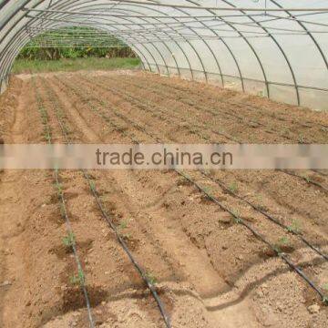 Plastic & Poly Tunnel Greenhouse/factory Price photo-5