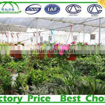 Galvanized Steel Frame Middle East/Africa uv Treated Multi Span Plastic Tunnel Commercial Greenhouse photo-6