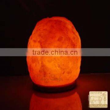 Air Ionizer Salt Lamp