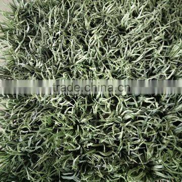 Fire-proof and UV-proof Artificial Grass Plastic Graden Fence photo-5