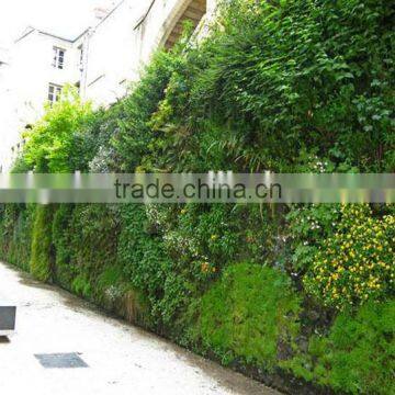 Most Realistic Top Quality Decorative Artificial Plant Wall for Outdoor photo-4