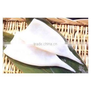 Frozen Wholesale Squid Tube u5 u7 U10 photo-2